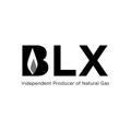 blx-logo-1-240x240-1
